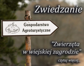 zwiedzanie